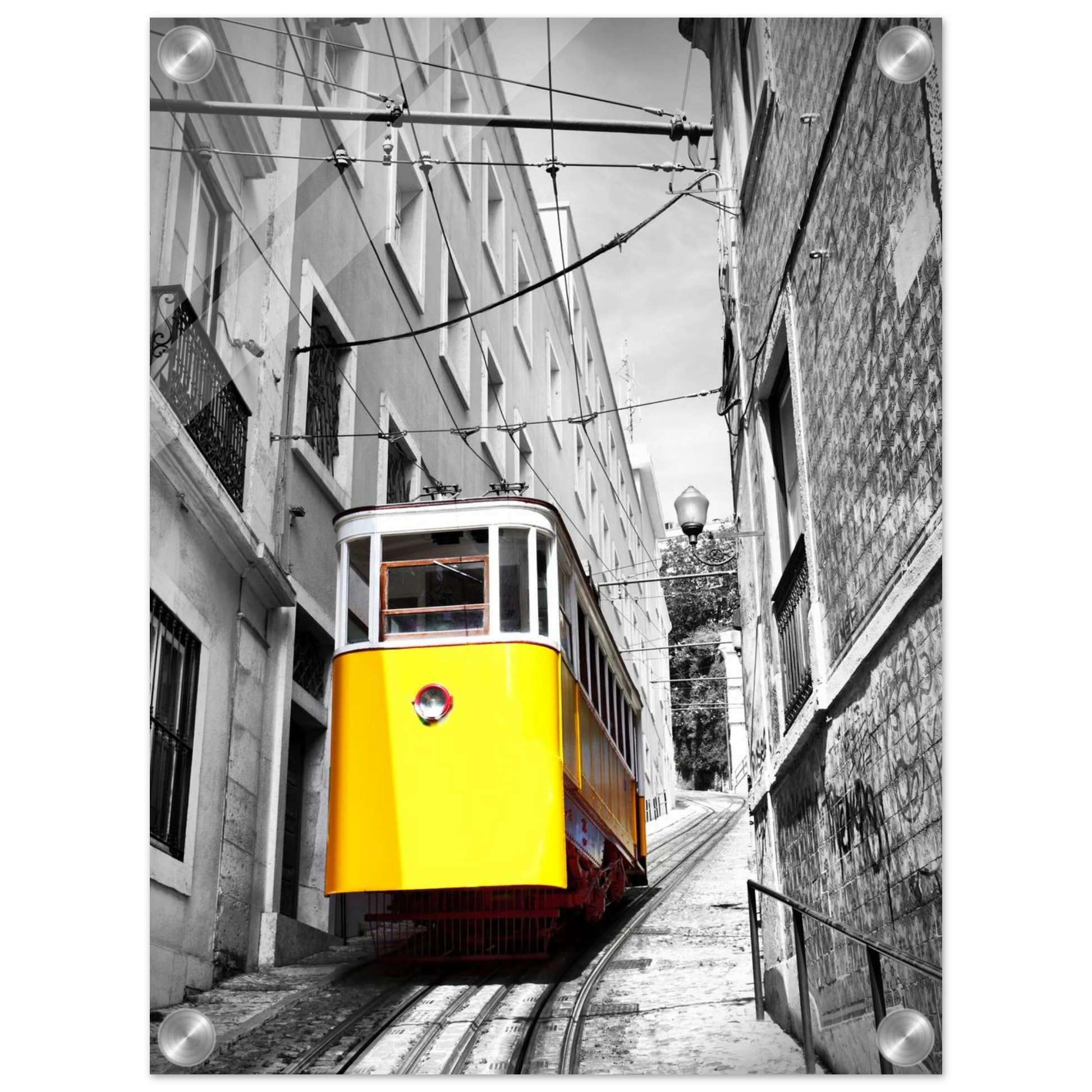 f8fb9da4-ae5d-4384-9249-04a0a6fd1eb1