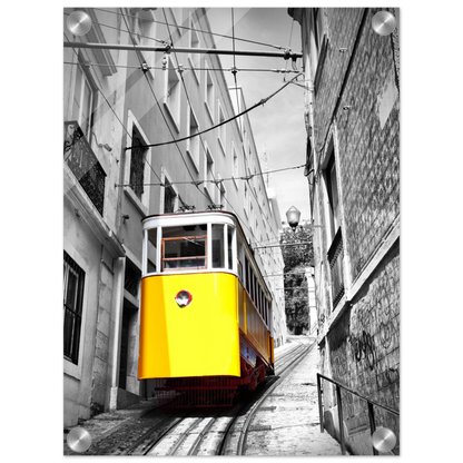 f8fb9da4-ae5d-4384-9249-04a0a6fd1eb1