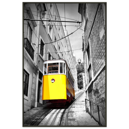 fd78ddca-1c9c-4619-9479-b6e526d6c171